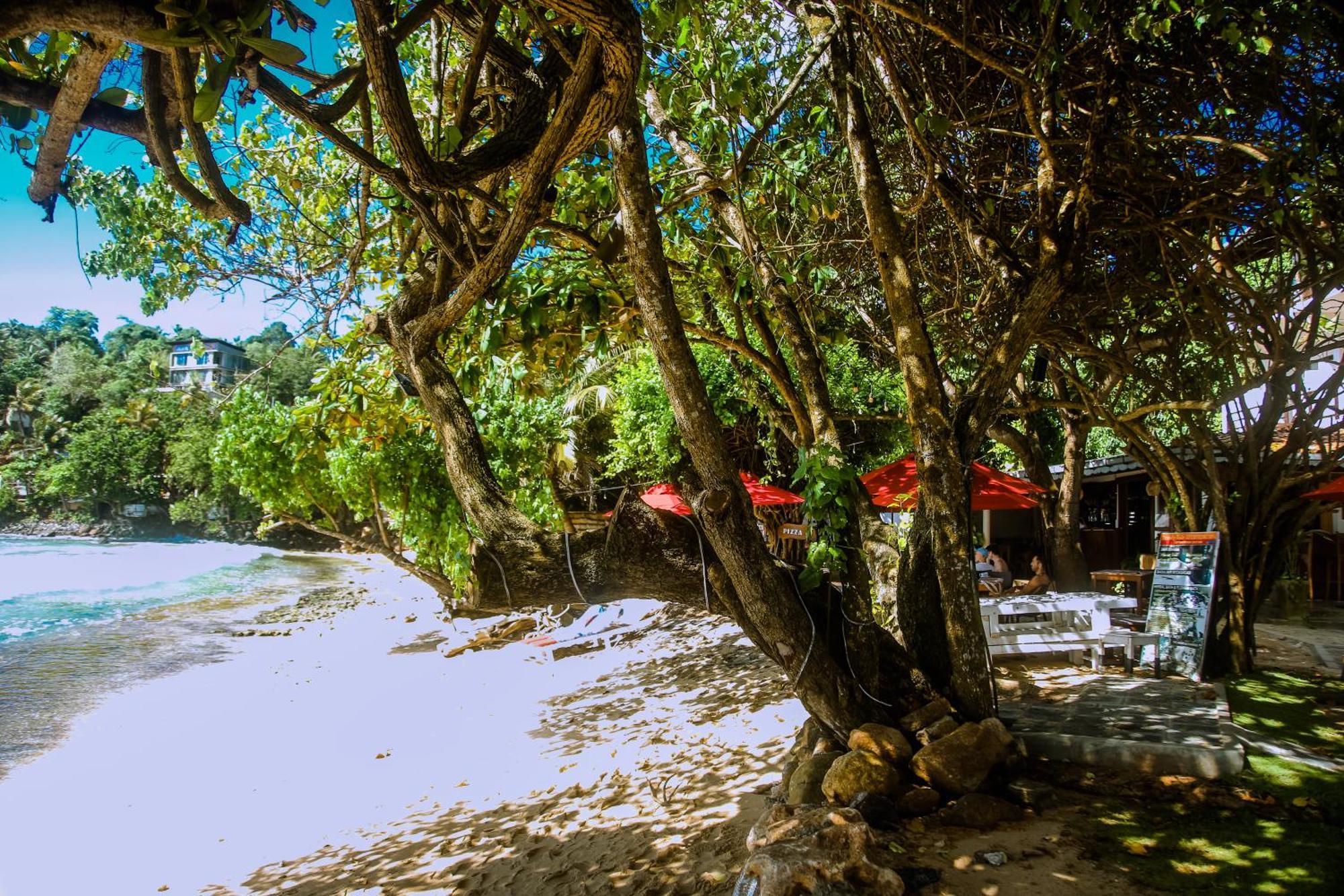 Hotel Surf Sea Breeze Mirissa Esterno foto