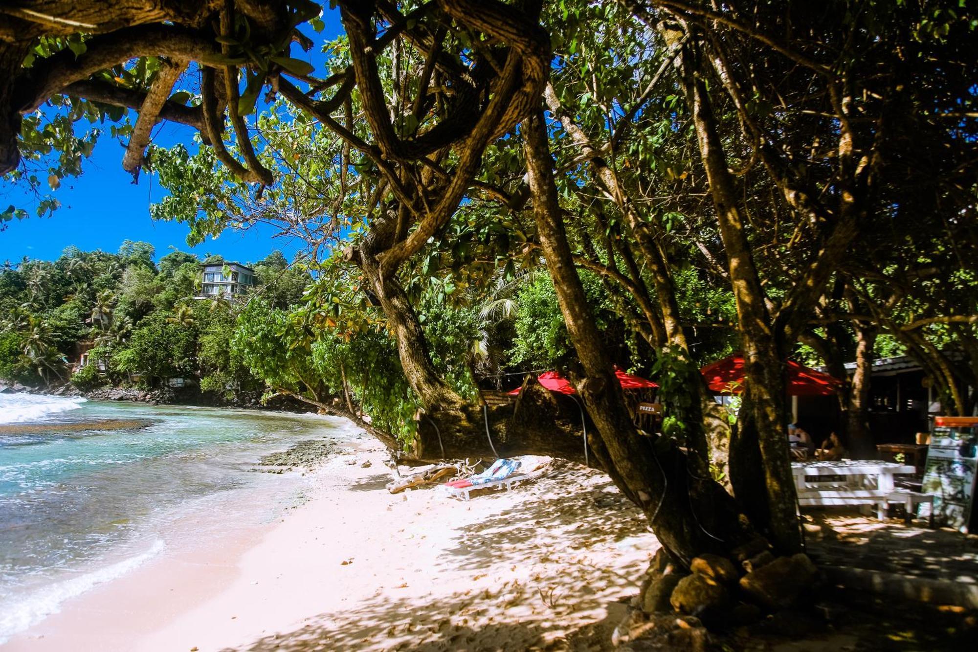 Hotel Surf Sea Breeze Mirissa Esterno foto