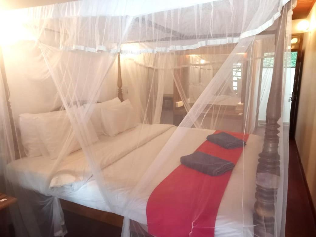 Hotel Surf Sea Breeze Mirissa Esterno foto